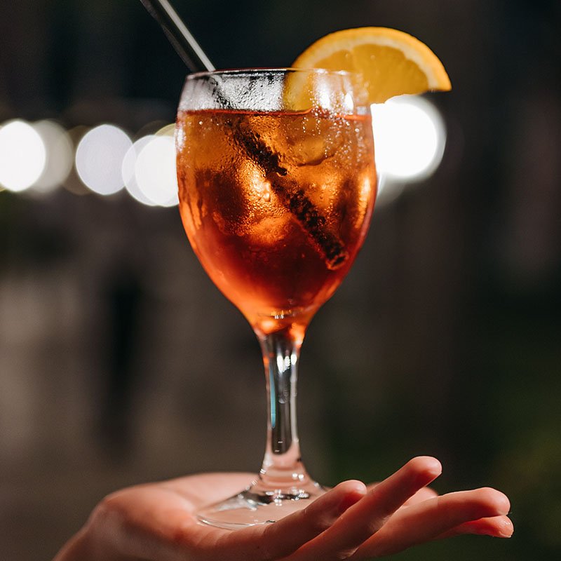 template josefine  pexels pavel danilyuk